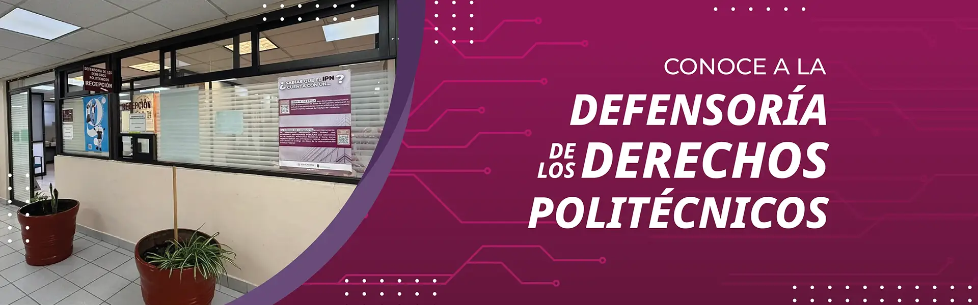 conoce-la-ddp